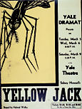 yellowjack